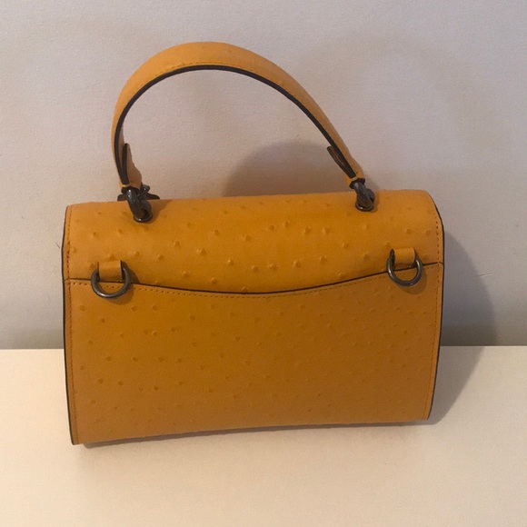 Coach - Picture 2 of 5